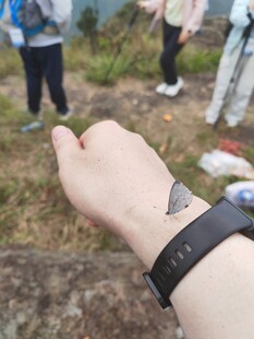 手腕配饰特写 人群在背景