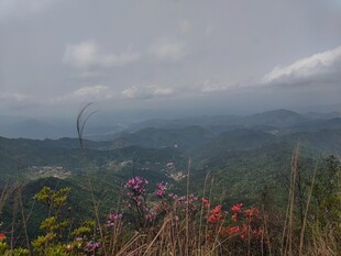 山间美景 繁花点缀山峦
