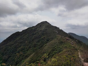 云雾缭绕的翠绿山峰