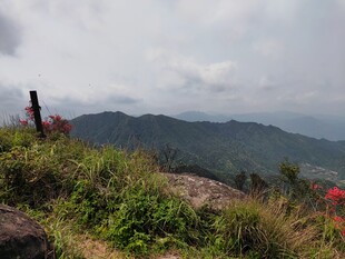 山巅风光 绿植与远山相伴