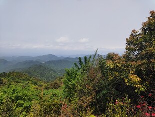 山林远眺美景