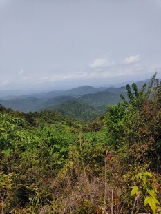 山间绿野景色