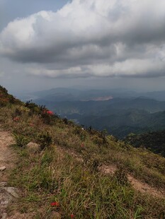 山巅远眺 云海山峦入目