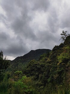 山间阴云下的葱郁植被