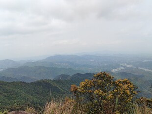 山巅远望壮阔自然景观