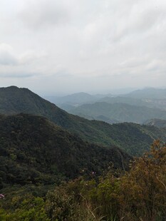 山峦云雾中的自然美景