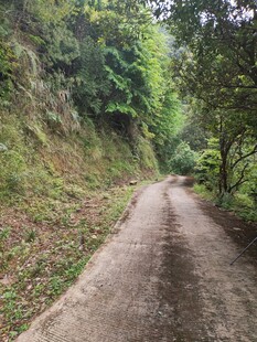 山间蜿蜒的泥土小路