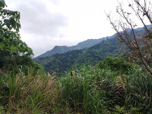 山间绿野 自然美景如画