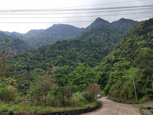 山间蜿蜒小路 绿意盎然