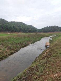 乡村小河边的宁静景致