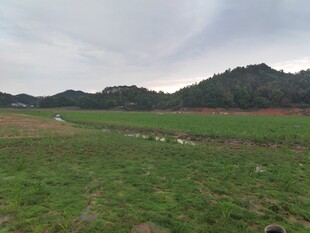 广袤绿野与远山的自然景致