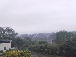 雾霭中的乡村景致