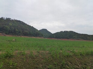 田野山峦风景图
