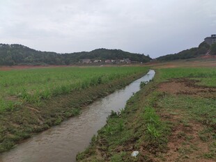 田野间的潺潺溪流