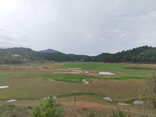 山间开阔绿地景观