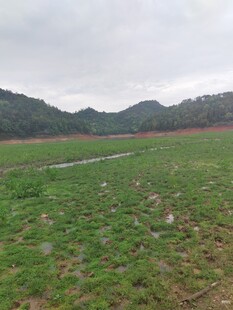 广袤绿野与远山景致