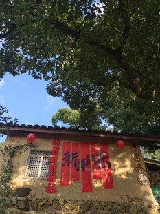 杨家堂村