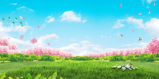 春日烂漫草地繁花风景图