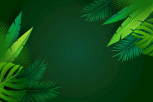 翠绿热带植物背景图