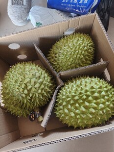 盒装新鲜榴莲待售