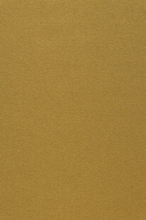 金色背景纹理图