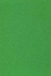 纯绿色背景纹理图