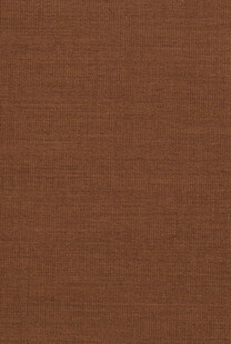 棕色纹理背景图