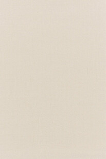 纯色米色背景图