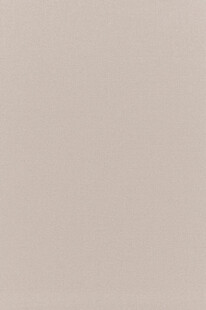 浅米色纯色背景图