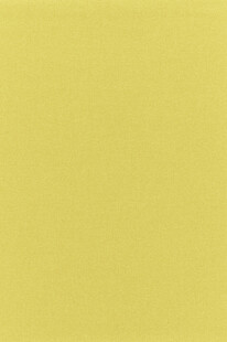 淡黄色纯色背景图