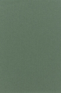 浅绿色纹理背景图