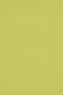 淡黄绿色纯色背景图