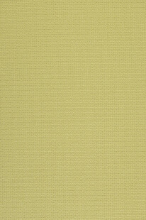 浅黄绿色纯色纹理背景