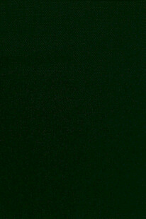 深绿色纯色背景图