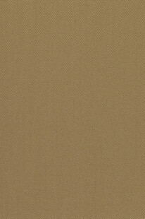 浅棕色纹理背景图