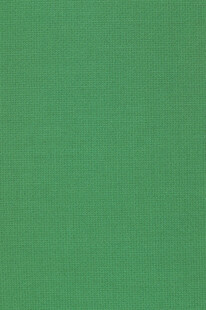 纯绿色背景纹理图