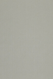 浅灰色纯色背景纹理