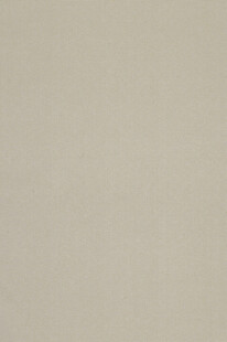 浅米色纯色背景纹理