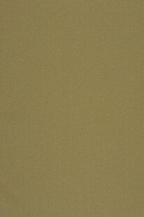 纯色卡其背景图