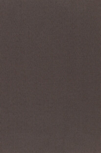 深棕色纹理背景图