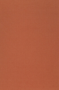 橙红色纯色背景纹理