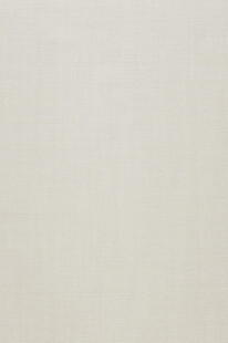 米白色纹理背景