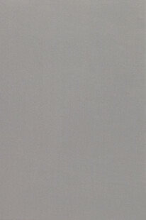 浅灰色背景画面