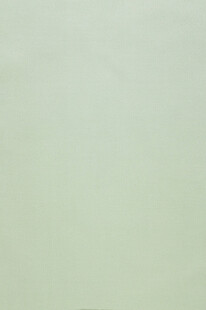 淡绿色背景纹理