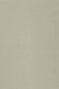 浅米色纯色背景图