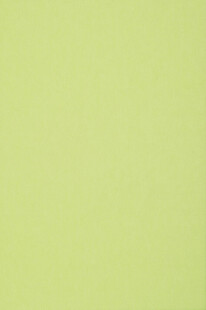 淡黄绿色纯色背景图