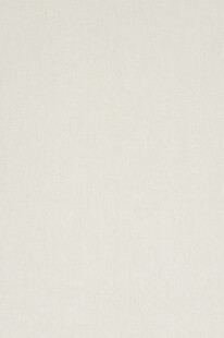 纯色米色背景纹理图