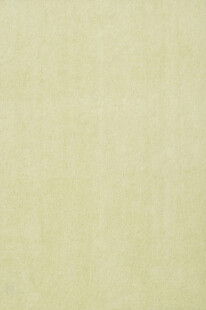 淡绿色纹理背景图