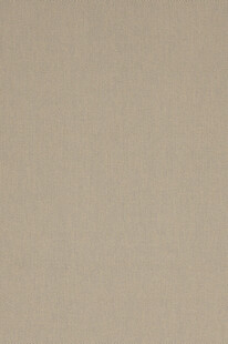 浅米色纯色背景纹理