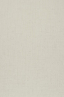 纯色米色纹理背景图